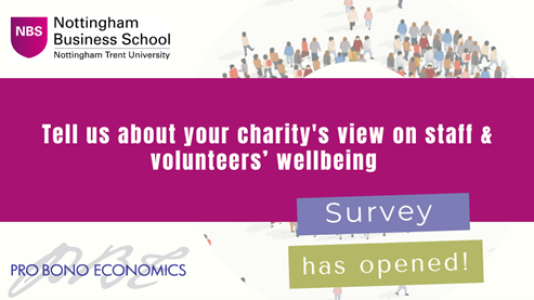 Banner image showing survey has opened, with the text "Tell us about your charity's view on staff & volunteers' wellbeing".