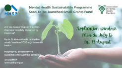 Mental Health Sustainability Fund