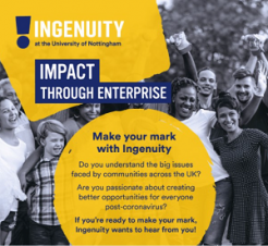 The Ingenuity Programme 2021