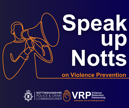 Speak Up Notts violence prevention survey