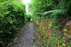 St Ann's Allotments is one of the largest inner city allotment sites in the world