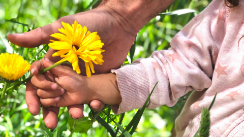 Nature connection is important for our mental health and wellbeing.